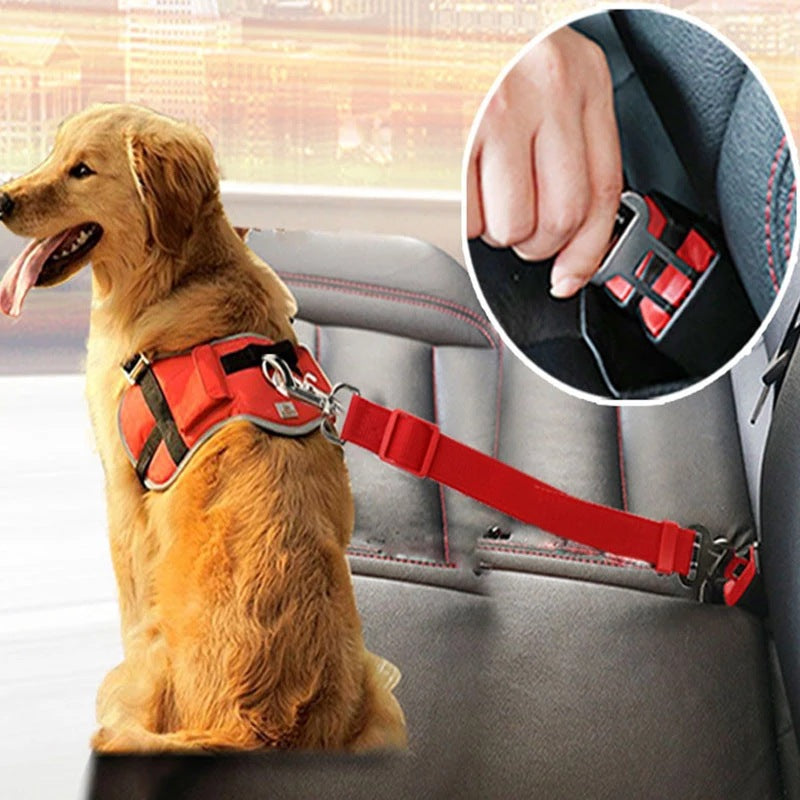 Ceinture de sécurité réglable pour animal en voiture – vue 1
