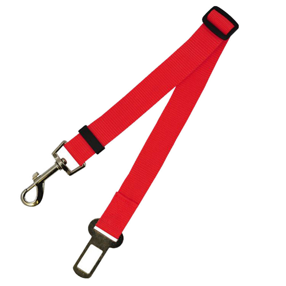 Laisse pour chien en nylon – vue 3