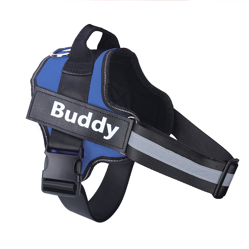 Harnais personnalisé anti-traction pour chien – vue 2