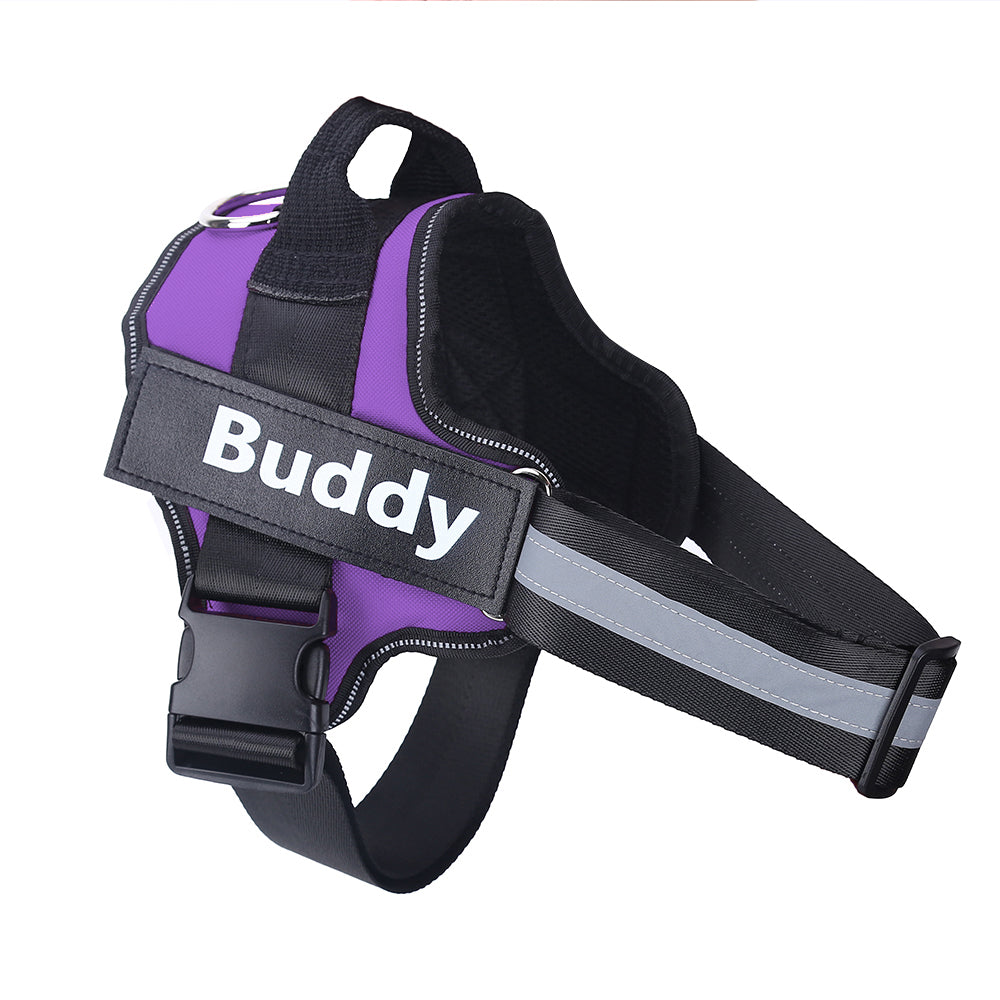 Harnais personnalisé anti-traction pour chien – vue 3