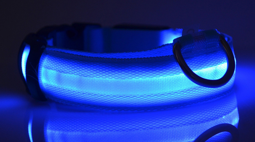 Collier LED lumineux en nylon pour animal – vue 3
