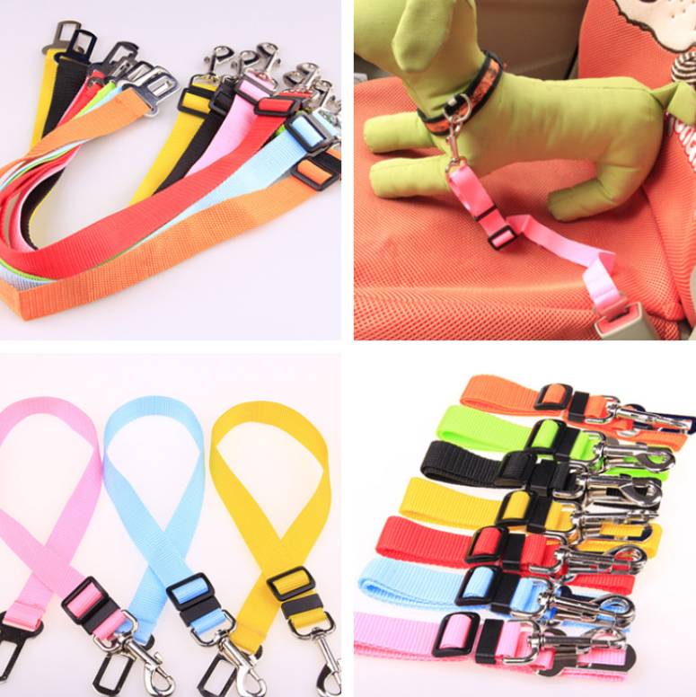 Laisse pour chien en nylon – vue 1