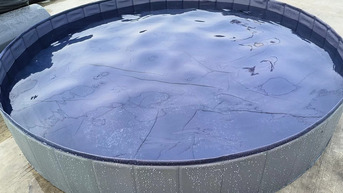 Piscine pliable pour chien – vue 4